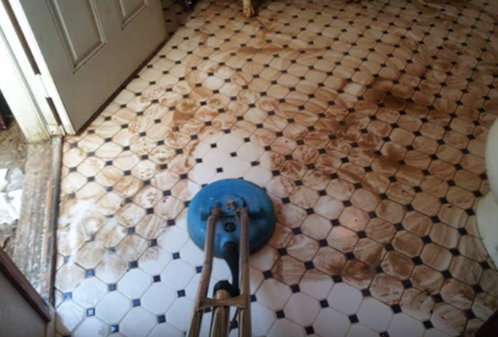 Tile and Grout Cleaning Theodore