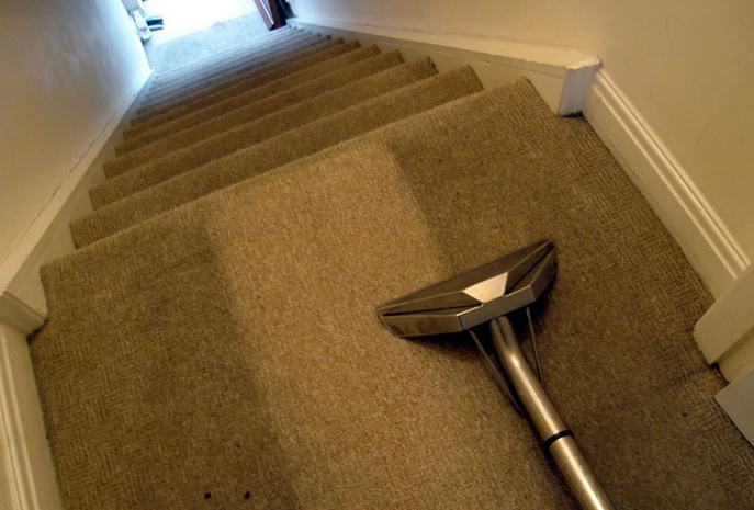 Carpet Cleaning Mitchell