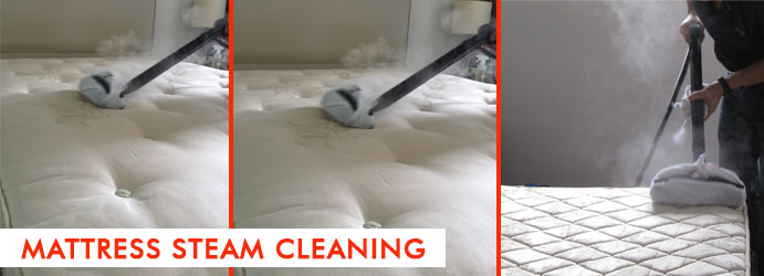 Mattress Steam Cleaning Stanhope South