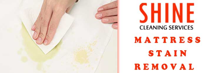 Mattress Stain Removal 
