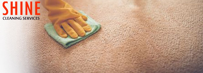 Carpet Stain Removal Services 