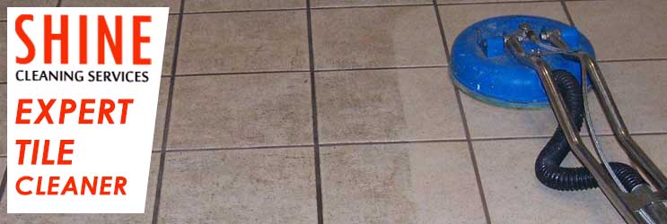 Expert Tile Cleaner Coombs